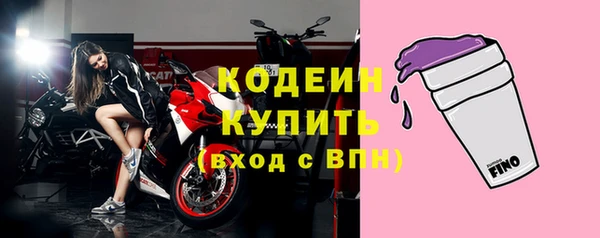 таблы Бородино