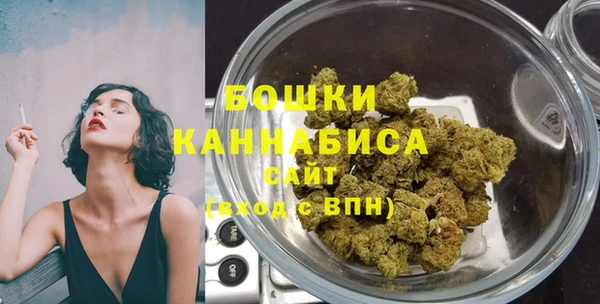 таблы Бородино