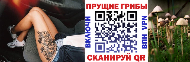 купить наркоту Сосногорск kraken ССЫЛКА Галлюциногенные грибы Psilocybine cubensis