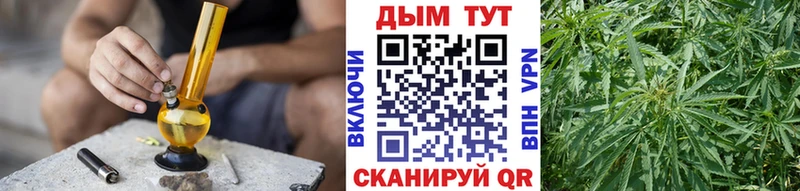 Бошки Шишки сатива Сосногорск